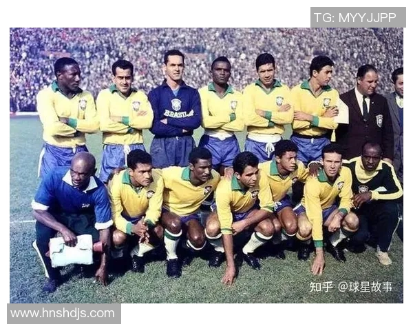 巴西足球历史十大球星排名及他们的辉煌成就分析