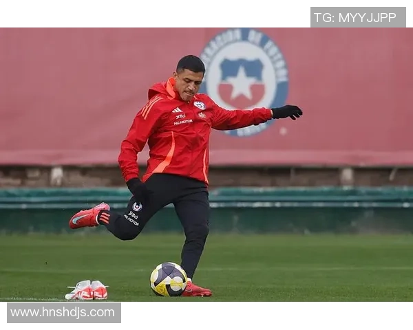 智利足球历史十大球星排名及其卓越贡献分析